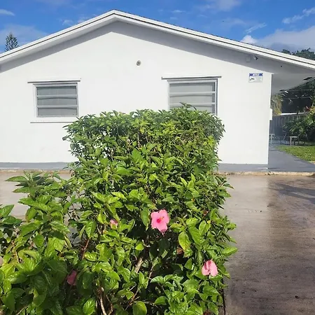 Apartamento N61